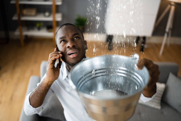 Best Professional water damage repair  in Carter Lake, IA