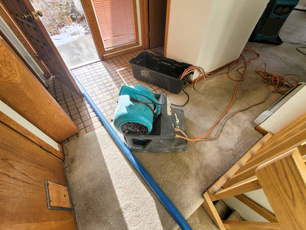 Best Water damage restoration near me  in Carter Lake, IA