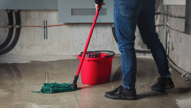 Best Flood restoration services  in Carter Lake, IA