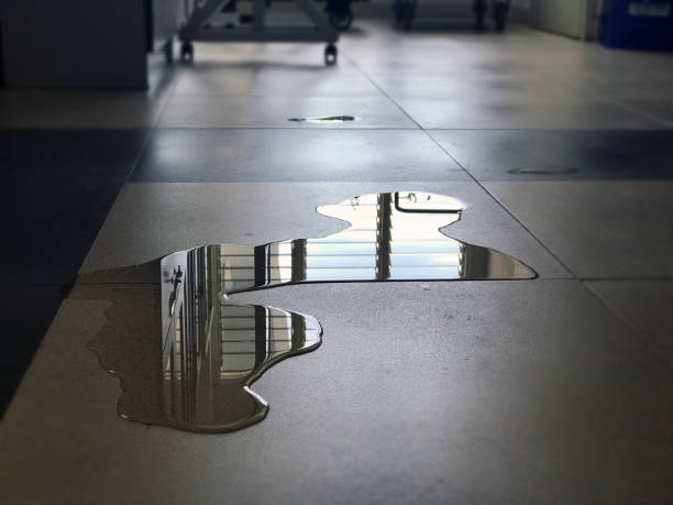 Best Water damage restoration company  in Carter Lake, IA