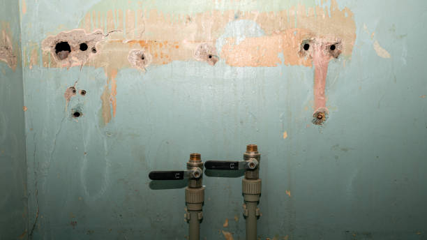 Best Flood damage cleanup  in Carter Lake, IA