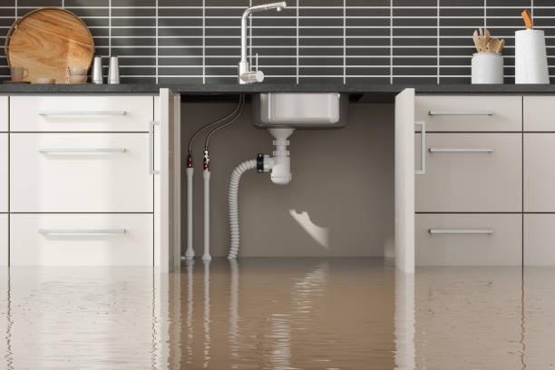 Best Flood damage cleanup  in Carter Lake, IA
