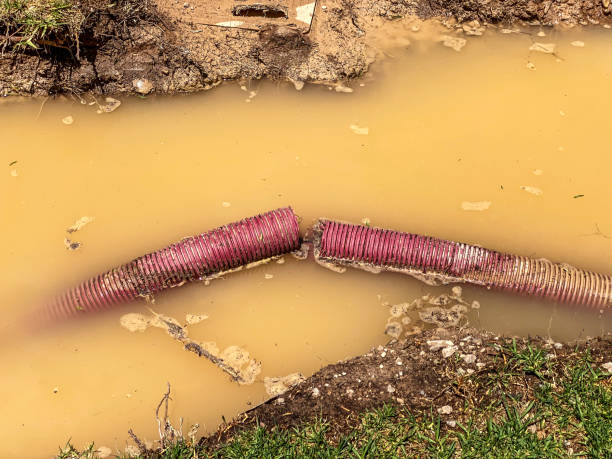 Best Carpet water damage restoration  in Carter Lake, IA